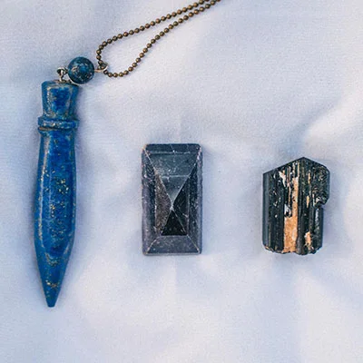 食肉细菌似乎在塑料和海藻开花时茁壮成长：