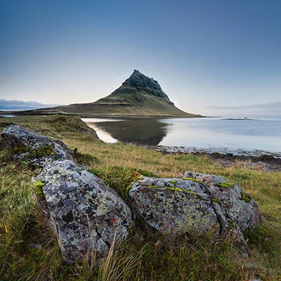 中国兽药采购网下载安装app（中国兽药商城）